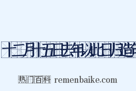 十二月十五日去年以此日归造句是什么意思的图片